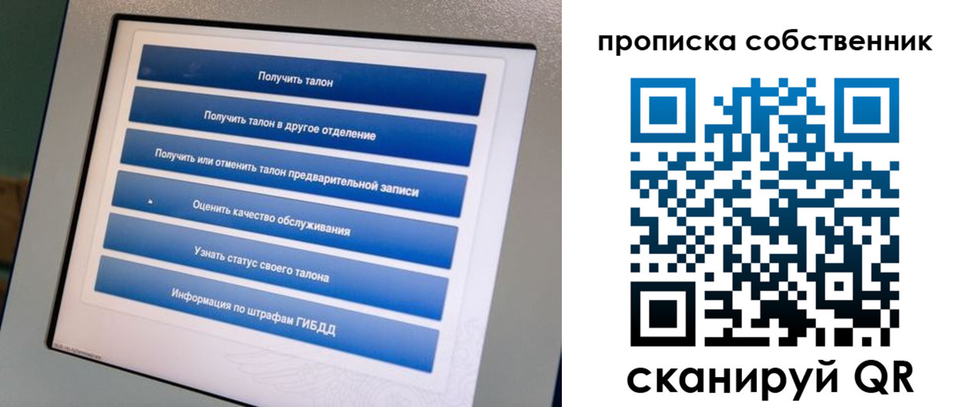 прописка поиск в Камышине
