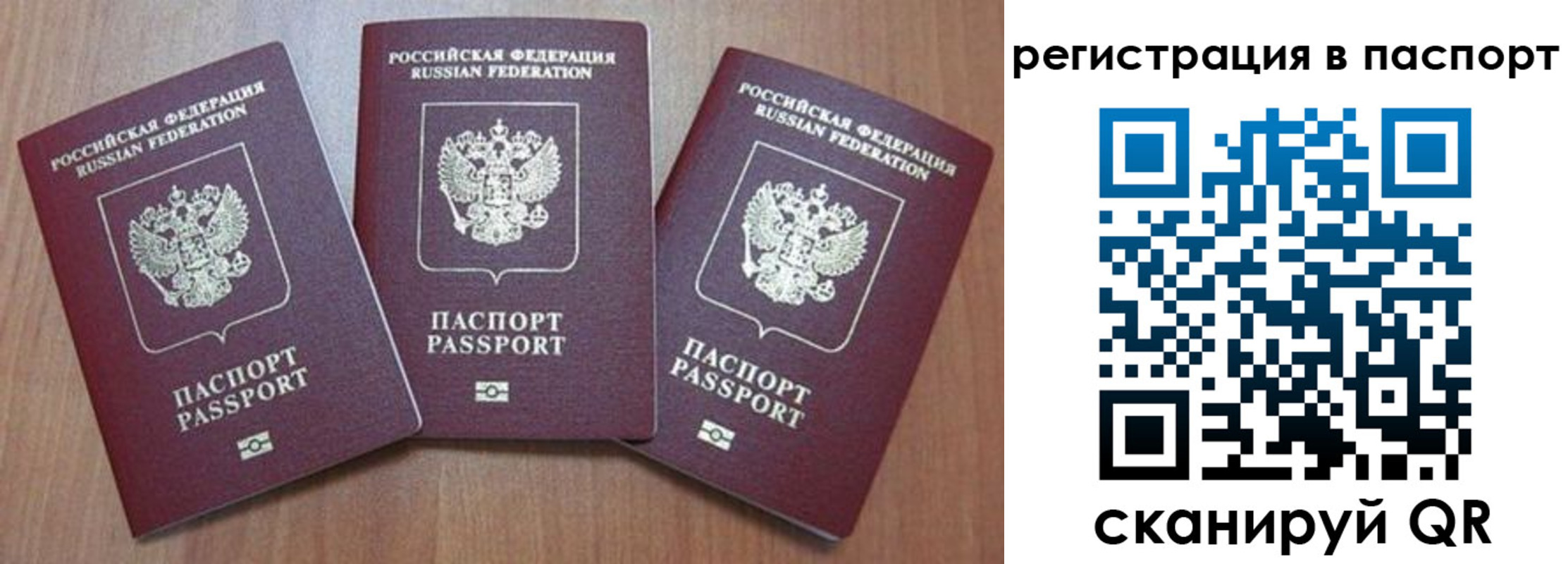 прописка паспорт в Камышине