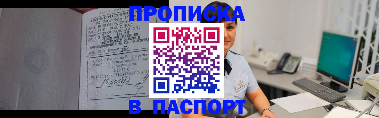 найти адрес прописки в Камышине